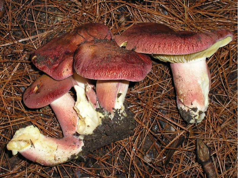 ....il seguito di domenica 2